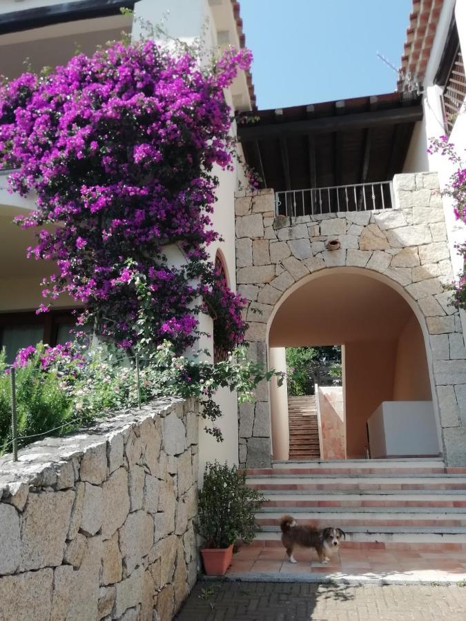Frina Di Mari B&B San Teodoro  Exterior photo